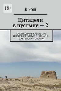 Цитадели в пустыне – 2. Как я копал в Казахстане и провел в Турции. 2. Алматы – Джетыасар – Стамбул