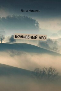 Волшебный лес