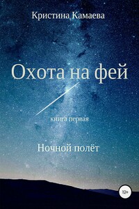 Охота на фей. Книга первая. Ночной полет