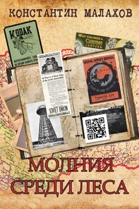 Молния среди леса