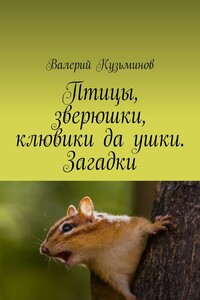 Птицы, зверюшки, клювики да ушки. Загадки
