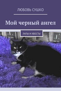 Мой черный ангел. Лапы и хвосты