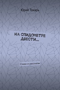 На спидометре двести… Стихи и рассказы