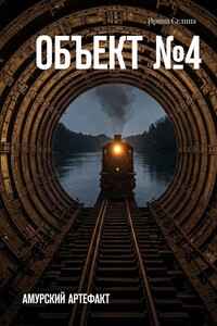 Объект №4. Амурский артефакт