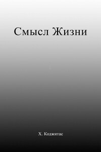 Смысл Жизни