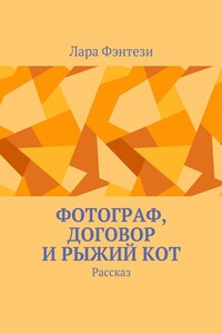 Фотограф, договор и рыжий кот. Рассказ