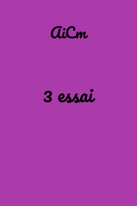 3 essai