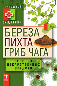Береза, пихта, гриб чага. Рецепты лекарственных средств