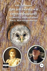 Два шага назад и в светлое будущее! Но вместе с императорами. Том II. Моя наполеониада