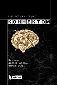 Коннектом. Как мозг делает нас тем, что мы есть