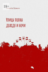Улицы полны дождя и ночи