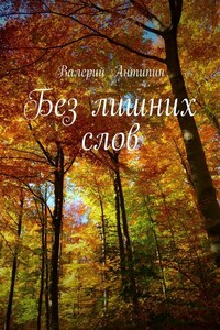 Без лишних слов