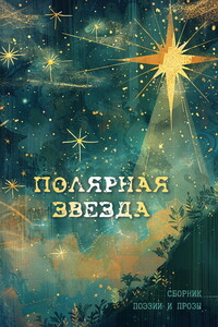 Полярная звезда