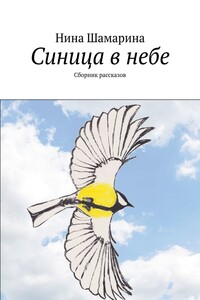 Синица в небе. Сборник рассказов