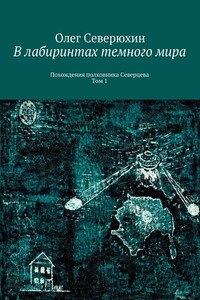 В лабиринтах темного мира. Похождения полковника Северцева. Том 1