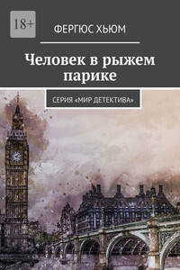 Человек в рыжем парике. Серия «Мир детектива»