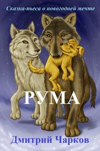 Рума. Сказка о новогодней мечте