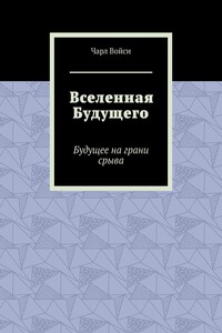 Вселенная Будущего. Будущее на грани срыва