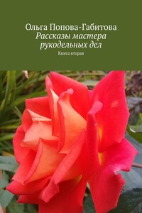 Рассказы мастера рукодельных дел. Книга вторая