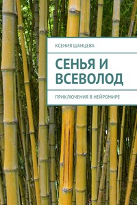 Сенья и Всеволод. Приключения в нейромире