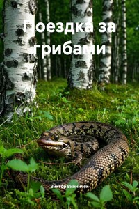 Поездка за грибами