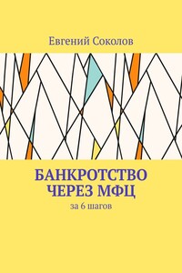 Банкротство через МФЦ. За 6 шагов