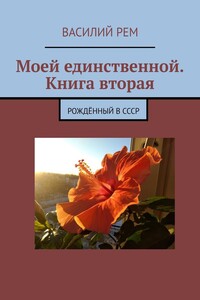 Моей единственной. Книга вторая. Рождённый в СССР