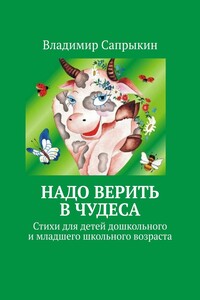 Надо верить в чудеса. Стихи для детей дошкольного и младшего школьного возраста
