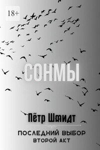 Сонмы. Последний выбор – Второй акт
