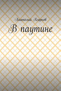В паутине