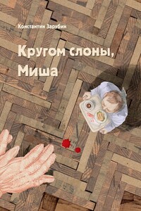 Кругом слоны, Миша. Трагикомический детектив про любовь и философию
