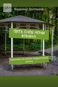 Пять снов Мони Кокина. Зарисовки из жизни подростковой шпаны