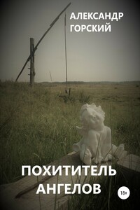 Похититель ангелов