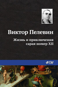 Жизнь и приключения сарая номер XII