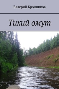 Тихий омут