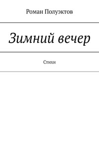 Зимний вечер. Стихи