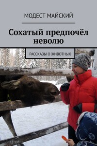 Сохатый предпочёл неволю. Рассказы о животных