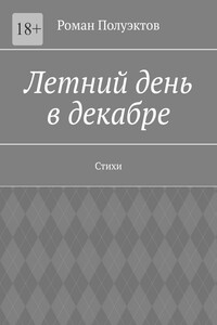 Летний день в декабре. Стихи