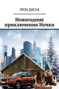 Новогодние приключения Ночки