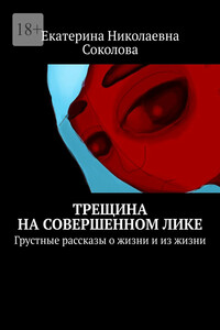 Трещина на совершенном лике. Грустные рассказы о жизни и из жизни