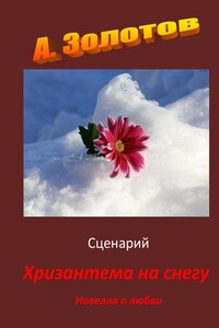 Сценарий «Хризантема на снегу». Новелла о любви
