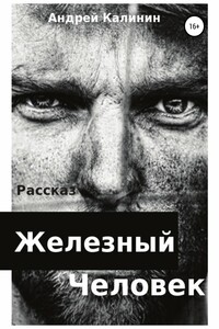 Железный Человек