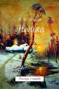 Нелька. Рассказы о природе