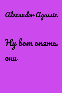 Ну вот опять они