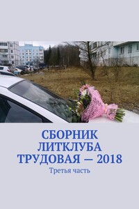 Сборник Литклуба Трудовая – 2018. Третья часть