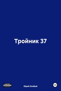 Тройник 37