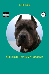 Ангел с янтарными глазами
