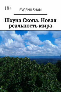 Шхуна Скопа. Новая реальность мира
