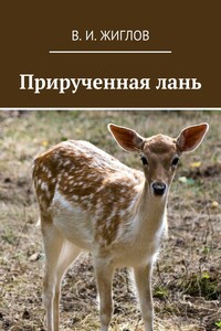 Прирученная лань