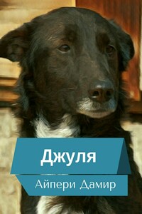 Джуля